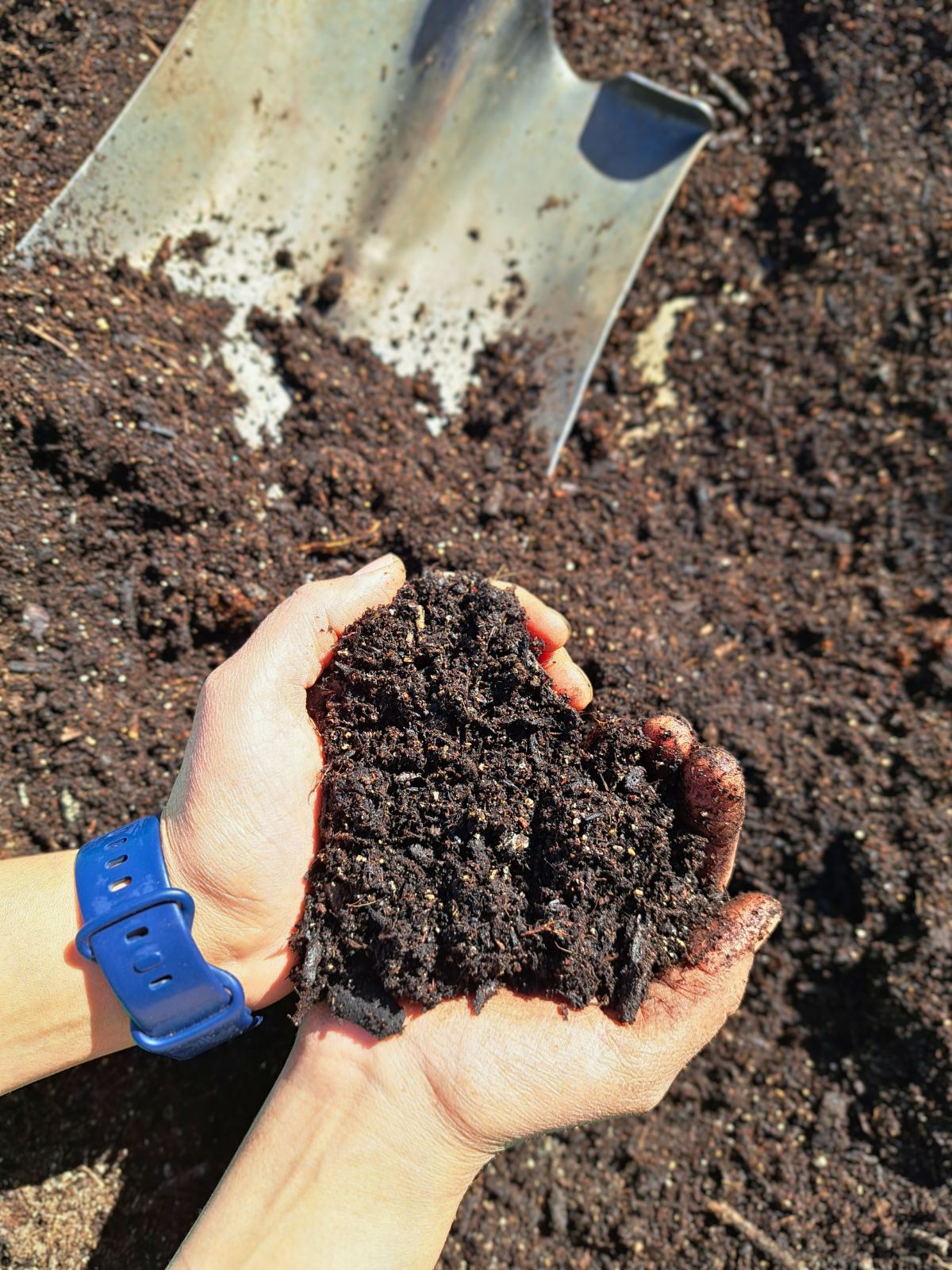 Make Your Own Potting Mix - Dirty Hands Warm Heart